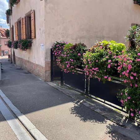 Gite A L'Aigle De Sable Kintzheim Esterno foto